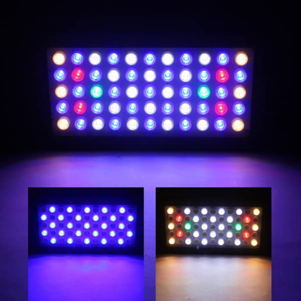 Amazon.co.jp: サンゴ用照明 LED 水槽照明 アクアリウムライトライト